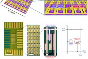 대면적 이황화몰리브덴 기반 초고민감 이미지센서 개발