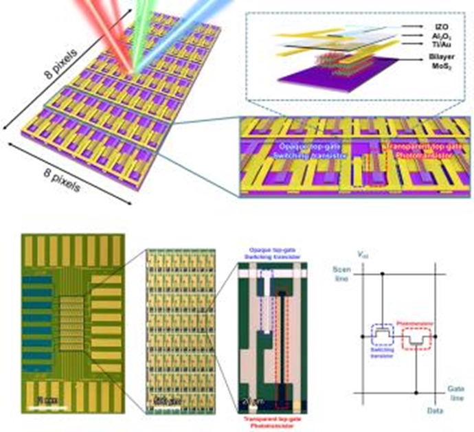대면적 이황화몰리브덴 기반 초고민감 이미지센서 개발