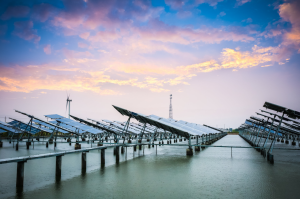 발전 중인 수상태양광···‘정부 지원’ 있어야