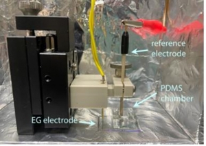 바이오센서 민감도, 인체 세포막 특성 모사로 개선