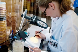 랑세스, 美 특수화학사 IFF 미생물 컨트롤 사업부문 인수 계약