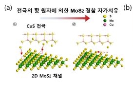 2차원 반도체 소자, 손상된 기능 스스로 회복한다