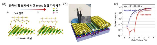 2차원 반도체 소자, 손상된 기능 스스로 회복한다