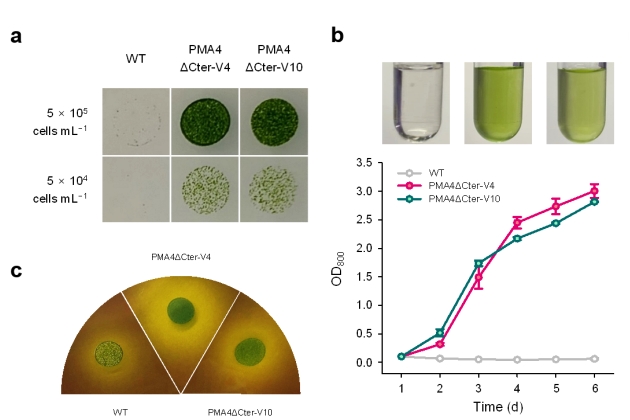 생물학적 이산화탄소 저감 기술 개발