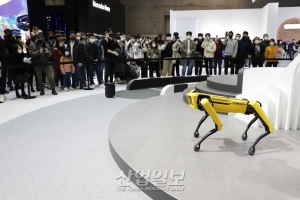 [포토뉴스] 로봇개, 터널도 지나는데 계단 오르기쯤이야…