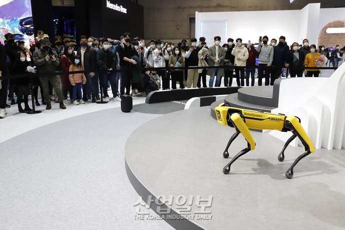 [포토뉴스] 로봇개, 터널도 지나는데 계단 오르기쯤이야…