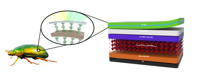 색반사 필름 이용한 컬러 태양전지 공개