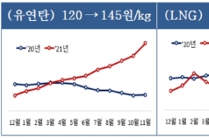 전기요금, 국민부담 고려해 조정