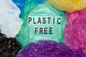 ‘NO PLASTIC’…플라스틱 대체재 향한 열기 ‘활활’