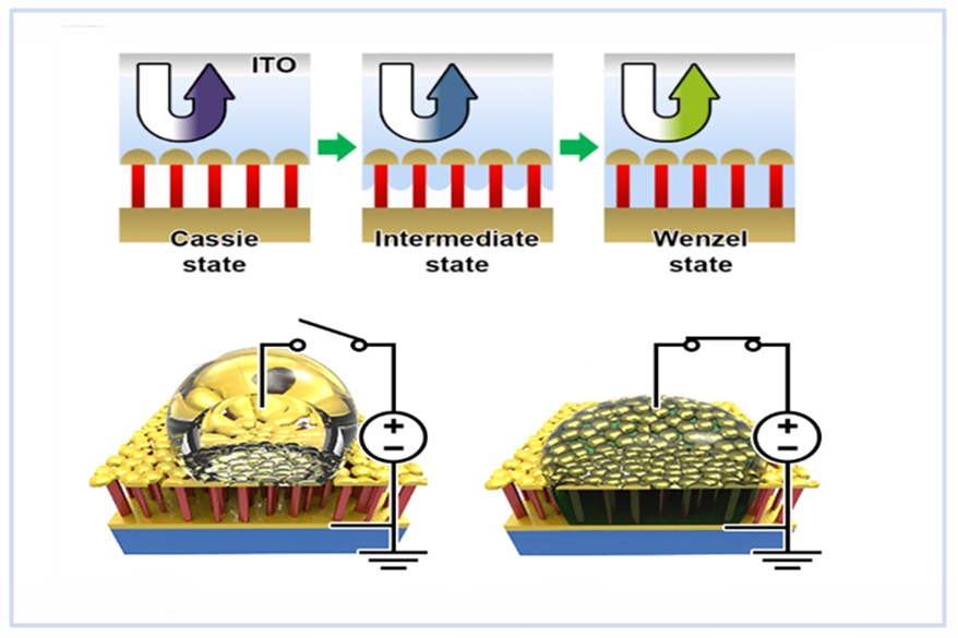 물젖음현상을 이용한 색 변환 빛스위치 기술 공개