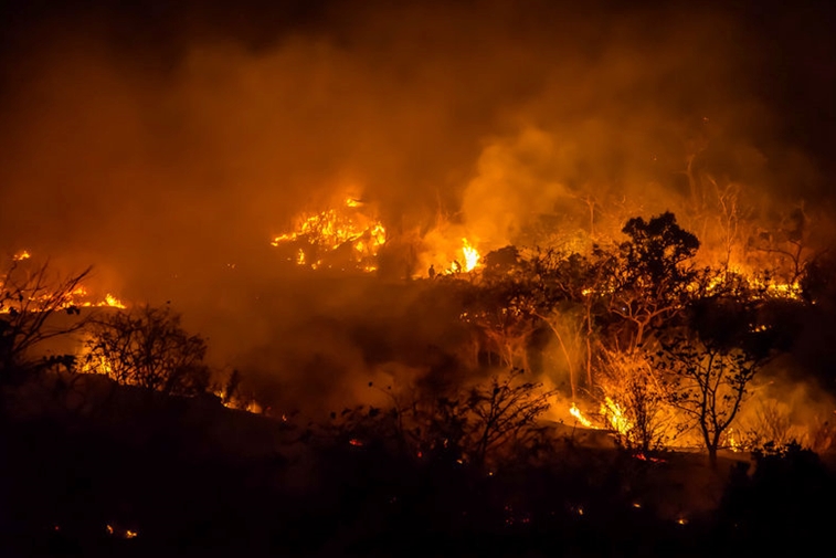 울진산불 대응 관련, 정부, 안전불감증 아니다