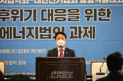 에너지법 불완전…“정책은 앞섰고 법령은 따라가지 못하는 상황”