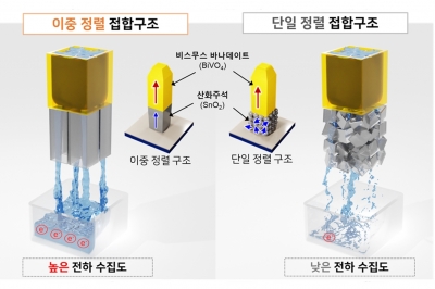 광전극 신구조 개발…그린 수소 생산 효율 높인다