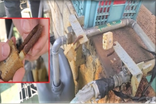 허가 안 받은 유해화학물질 사용한 불법 취급 사업장 대거 적발