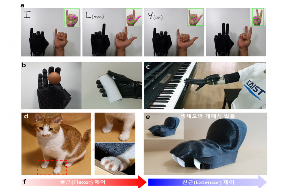 형상기억합금 인공근육…고양이 발톱 모사