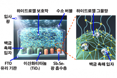 생체모방형 하이드로젤 보호 기술 개발