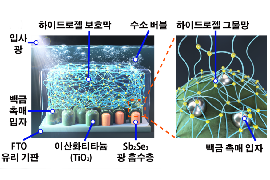 생체모방형 하이드로젤 보호 기술 개발
