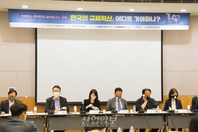 제정 시 문제없던 법…새로운 플랫폼 산업에는 갈라파고스 규제?