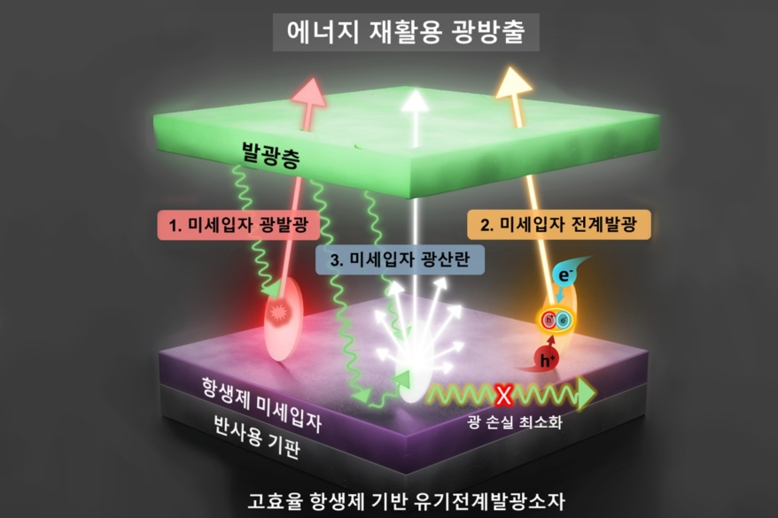 항생제 활용…고효율 디스플레이 소자 개발