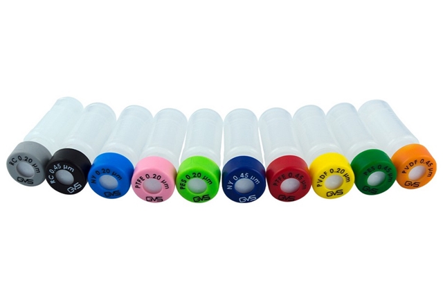 GVS, 단순 DNA 추출법 개발 및 칸디다혈증 진단