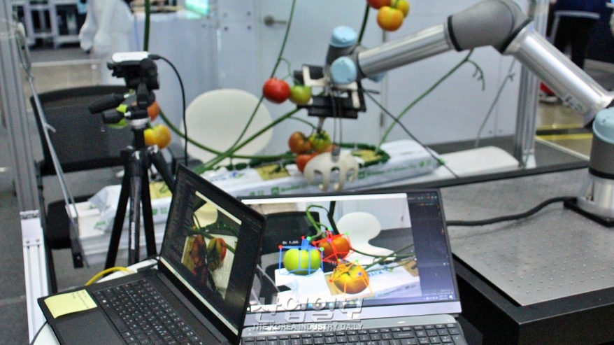 [로보월드] 익은 열매만 쏙쏙 ‘자동 수확’