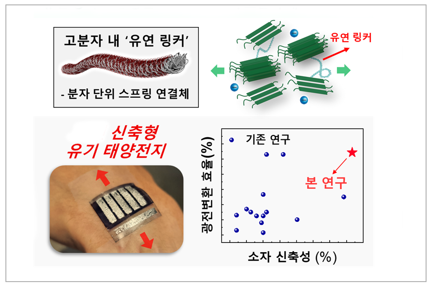 신축성 있는 ‘고분자 유기 태양전지’ 구현에 성공