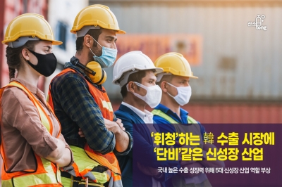 [카드뉴스] ‘휘청’하는 韓 수출 시장에 ‘단비’같은 신성장 산업