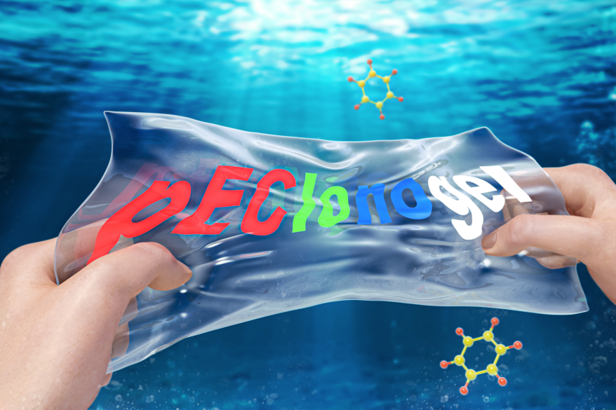 전기변색소자 개발…비틀거나 접어도 성능 유지