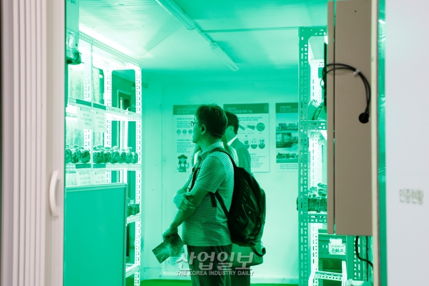 [포토뉴스]수출용 컨테이너로 도시 스마트팜 제작…“농업을 문화로”