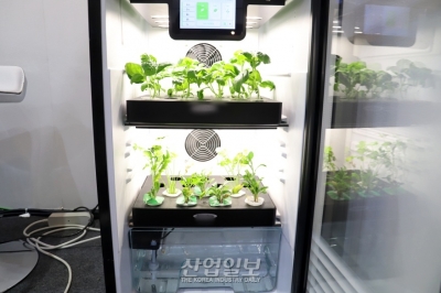 [포토뉴스] 집에서 ‘나만의 농장’ 만들어 볼까