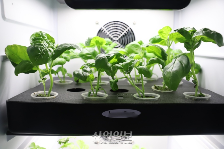 [포토뉴스] 집에서 ‘나만의 농장’ 만들어 볼까