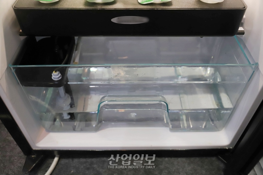 [포토뉴스] 집에서 ‘나만의 농장’ 만들어 볼까