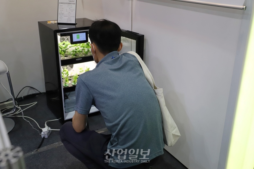 [포토뉴스] 집에서 ‘나만의 농장’ 만들어 볼까