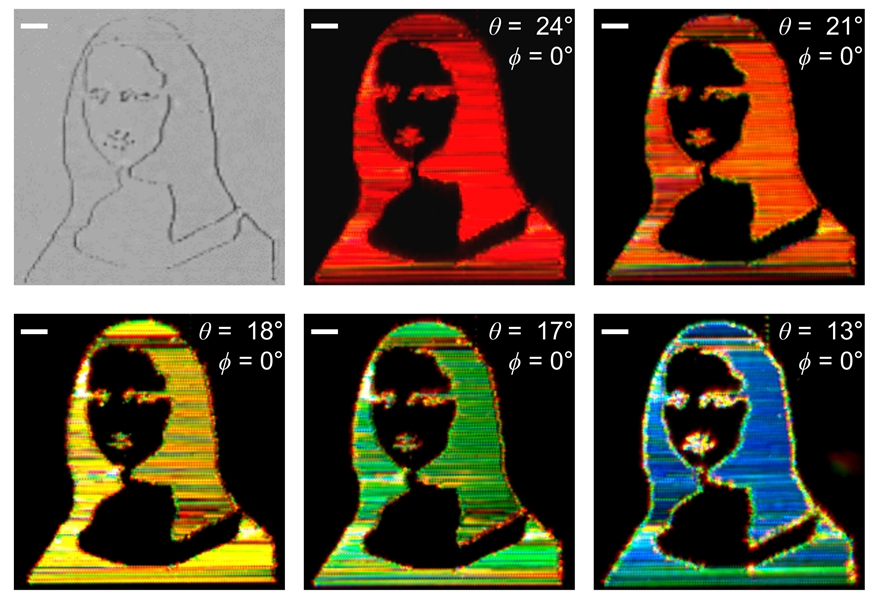 공작새 깃털의 아름다운 색상까지 3D프린터로 구현