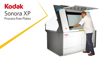 차세대 소노라 XP 무현상 판재 출시